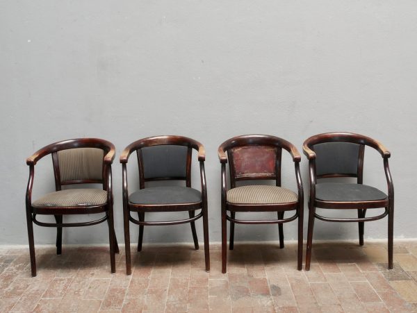 Vorderansicht aller 4 Sühle Jugenstil der Firma Thonet Wien