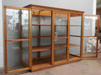 Vorderansicht der seltenen Lehrmittelvitrine der Firma Hermann Fiedler aus Eisleben mit geöffneten Glastüren. Die Aufnahme zeigt den großzügigen Innenraum, die beiden großen höhenverstellbaren Einlegeböden sowie die vollständig verglaste Konstruktion des historischen Schulschranks um 1920.